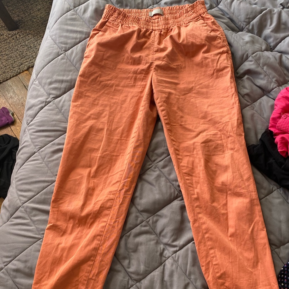 Everlane chinos